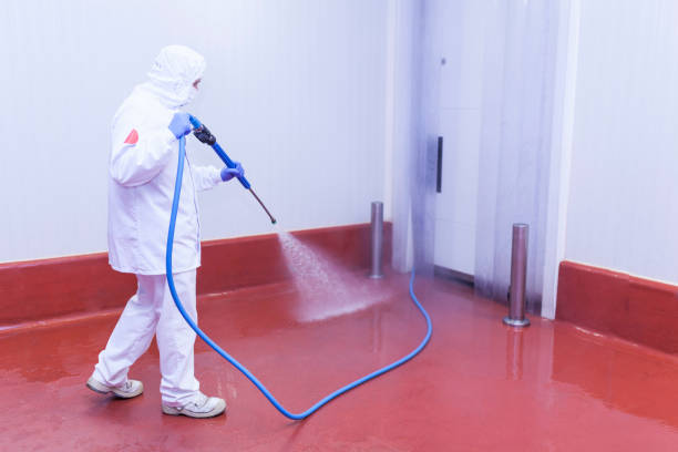 Best Soft Washing for Delicate Surfaces in Lexington, NC