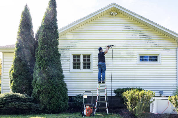 Best Sidewalk and Walkway Pressure Cleaning in Lexington, NC